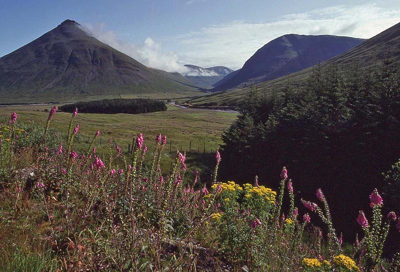 WT 3100 354-08 UK-3.jpg